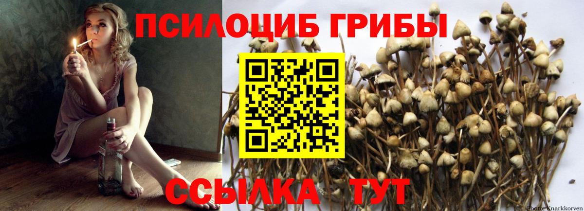 Псилоцибиновые грибы MAGIC MUSHROOMS Шелехов