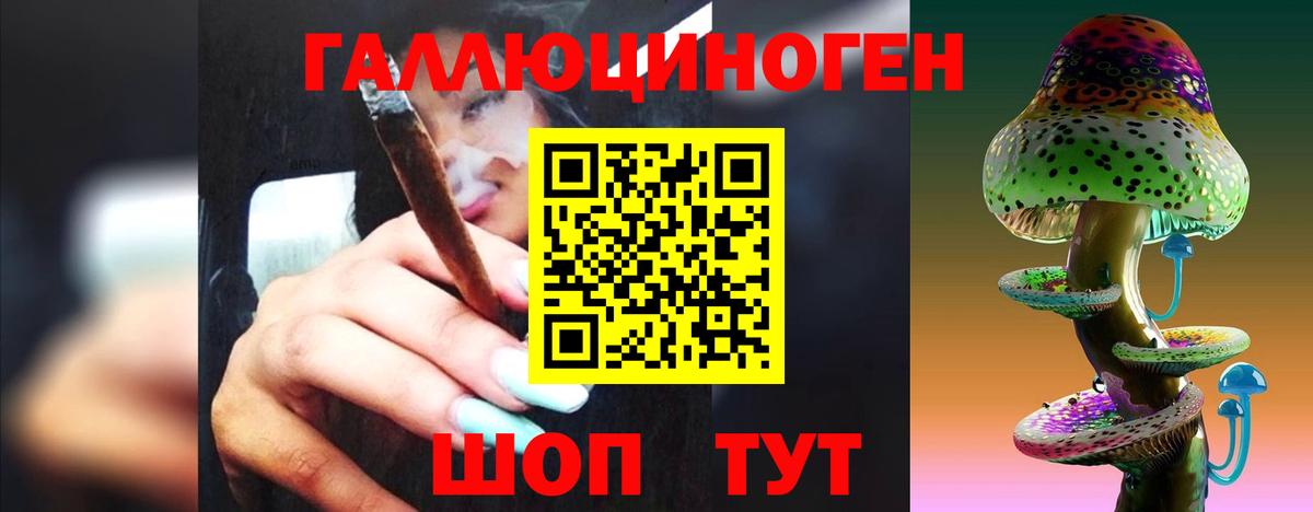 Галлюциногенные грибы прущие грибы  Псилоцибиновые грибы GOLDEN TEACHER  Шелехов  Вход с VPN 